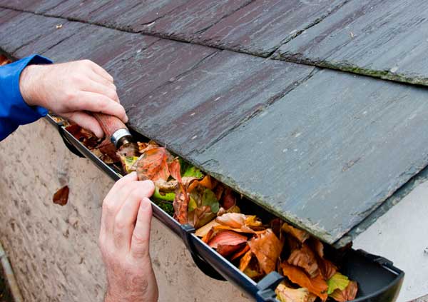 Cleaning the guttering of a roof