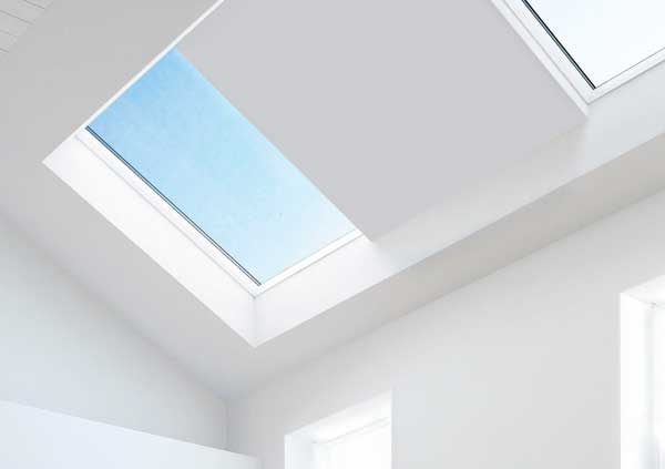 Twin Skylights